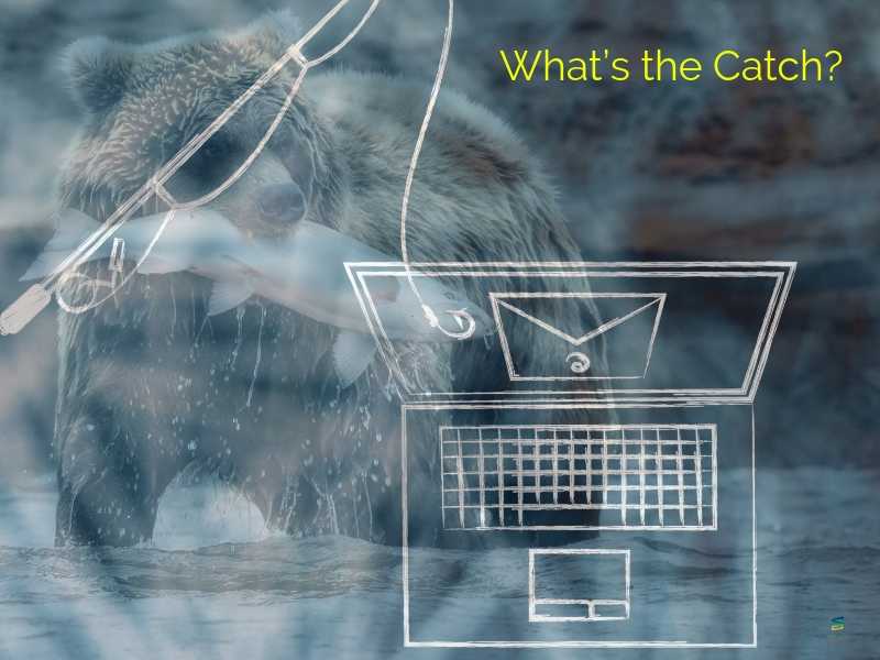 What’s the Catch?